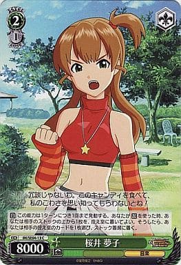 [C] IM/SE04-13 桜井 夢子
