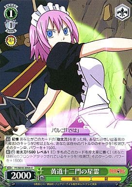 [C] FT/SE10-20Vir 黄道十二門の星霊