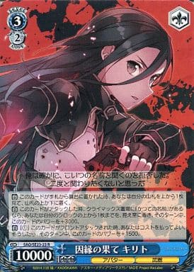 [R] SAO/SE23-23 因縁の果て キリト