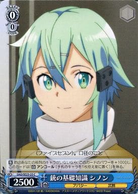 [C] SAO/SE23-25 銃の基礎知識 シノン