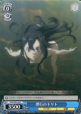 [C] SAO/SE23-26 潜行のキリト