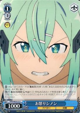 [C] SAO/SE23-31 お怒りシノン