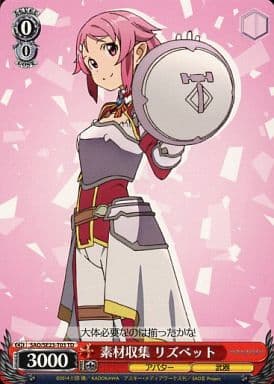 [TD] SAO/SE23-T03 素材収集 リズベット