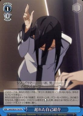 [TD] SAO/SE23-T18 遅れた自己紹介