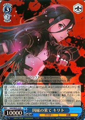 [R] SAO/SE23-23 因縁の果て キリト(ホロ)