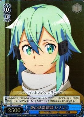 [C] SAO/SE23-25 銃の基礎知識 シノン(ホロ)