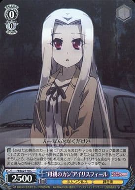[C] PI/SE24-40 “母親のカン”アイリスフィール
