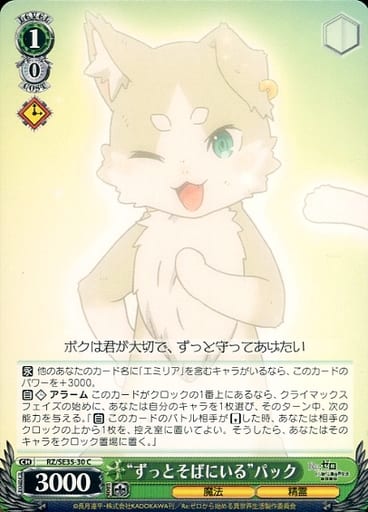 [C] RZ/SE35-30 “ずっとそばにいる” パック