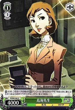[C] P3/S01-041 鳥海先生