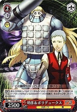 [C] P3/S01-067 明彦&ポリデュークス