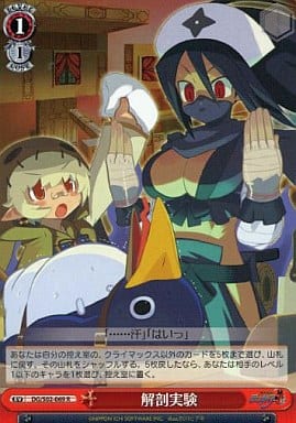 [R] DG/S02-069 解剖実験