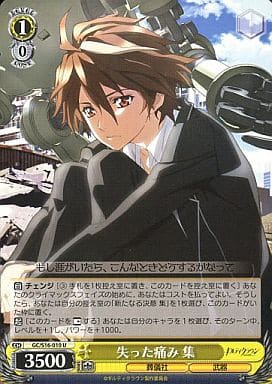 [U] GC/S16-010 失った痛み 集