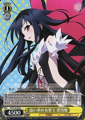 [R] AW/S18-005 追い求める果て 黒雪姫