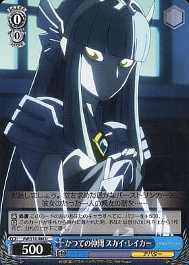 [U] AW/S18-086 かつての仲間 スカイ・レイカー