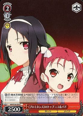 [C] AW/S18-074 《プロミネンス》のトップ ニコ&パド