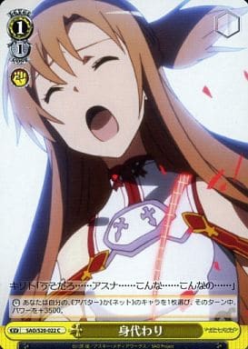 [C] SAO/S20-022 身代わり