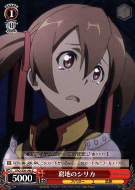 [C] SAO/S20-066 窮地のシリカ