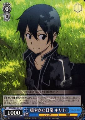 [C] SAO/S20-089 穏やかな日常 キリト