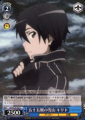 [C] SAO/S20-093 五十五層の雪山 キリト