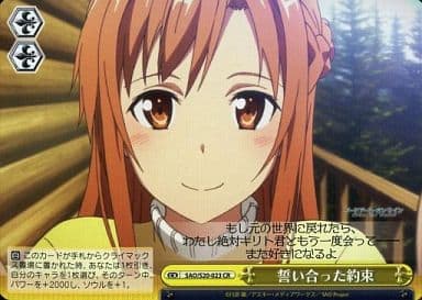 [CR] SAO/S20-023 誓い合った約束