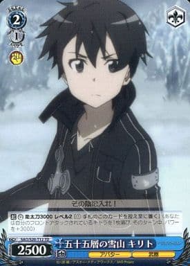 [TD] SAO/S20-T12 五十五層の雪山 キリト