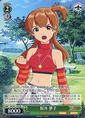 [RE] IM/S21-102 桜井 夢子