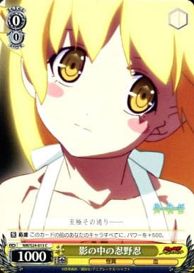 [C] NM/S24-013 影の中の忍野忍