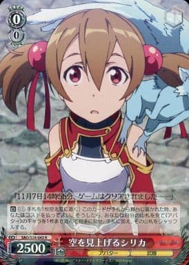 [R] SAO/S26-043 空を見上げる シリカ
