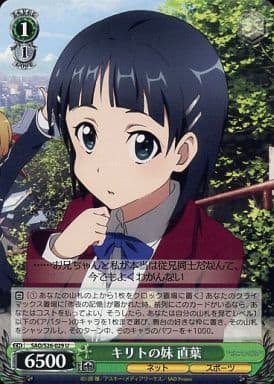 [U] SAO/S26-029 キリトの妹 直葉