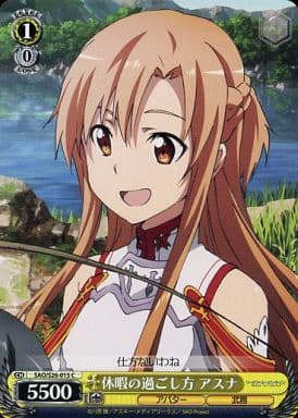 [C] SAO/S26-015 休暇の過ごし方 アスナ