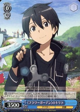 [C] SAO/S26-073 《フラワーガーデン》のキリト