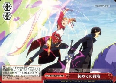 [PR] SAO/S26-084 初めての冒険