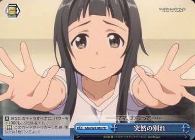 [PR] SAO/S26-085 突然の別れ