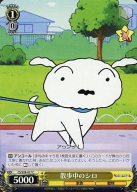 [C] CS/S28-017 散歩中のシロ