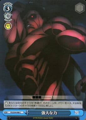 [C] FS/S34-098 強大な力