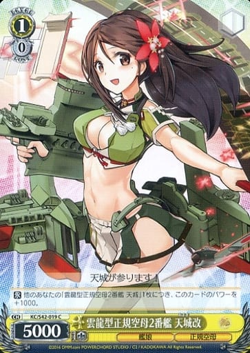 [C] KC/S42-019 雲龍型正規空母2番艦 天城改