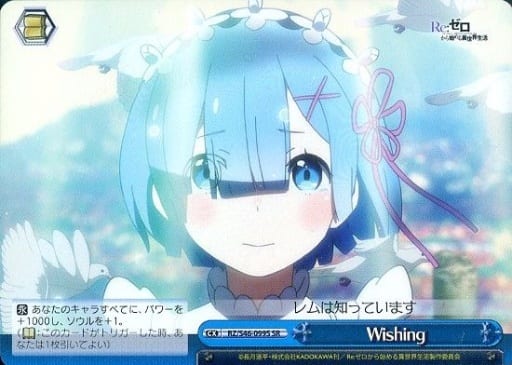 [SR] RZ/S46-099S Wishing