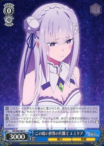 [C] RZ/S46-085 この暗い世界の片隅で エミリア