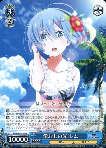 [TD] RZ/S46-T43 愛おしの光 レム