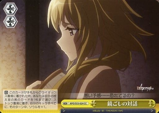 [CC] APO/S53-024 鏡ごしの対話