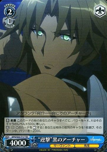 [TD] APO/S53-T17 “迎撃”黒のアーチャー