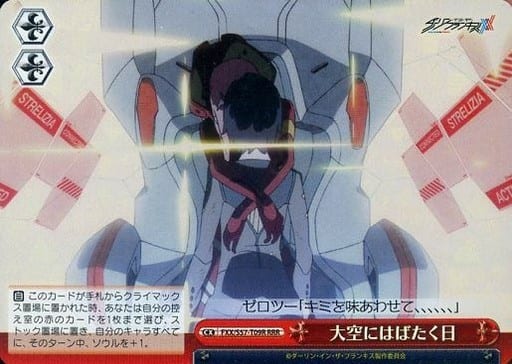 [RRR] FXX/S57-T09R 大空にはばたく日