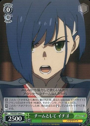 [C] FXX/S57-040 チームとして イチゴ