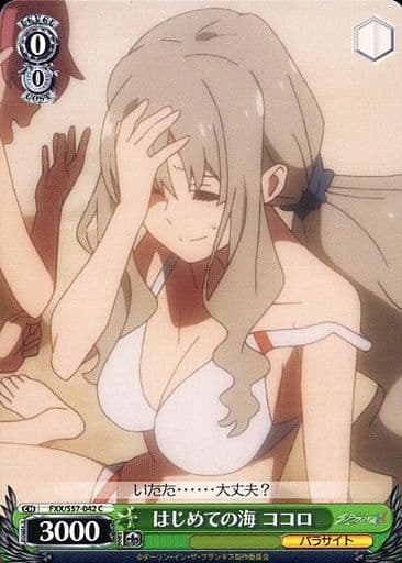 [C] FXX/S57-042 はじめての海 ココロ