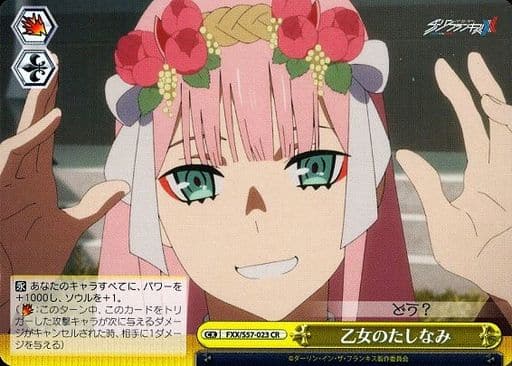 [CR] FXX/S57-023 乙女のたしなみ