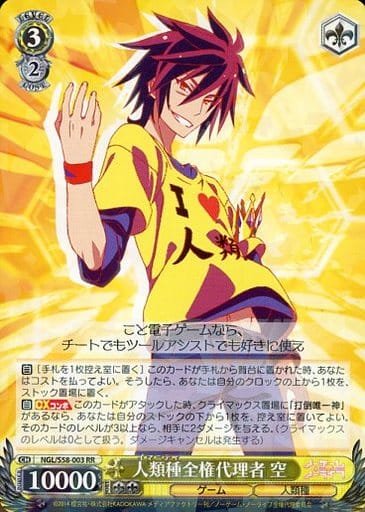 [RR] NGL/S58-003 人類種全権代理者 空