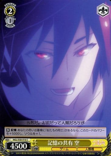 [C] NGL/S58-016 記憶の共有 空