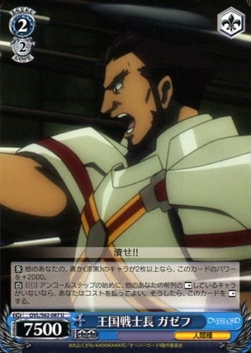 [U] OVL/S62-087 王国戦士長 ガゼフ