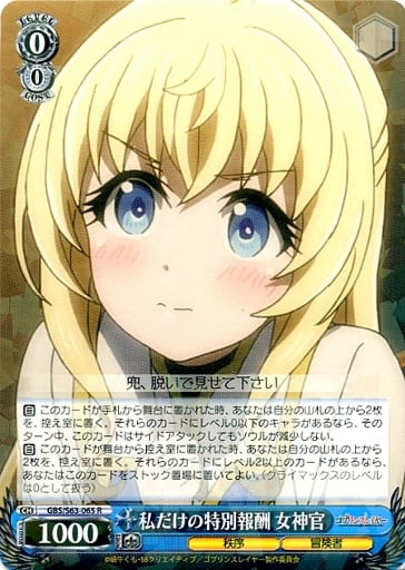 [R] GBS/S63-065 私だけの特別報酬 女神官