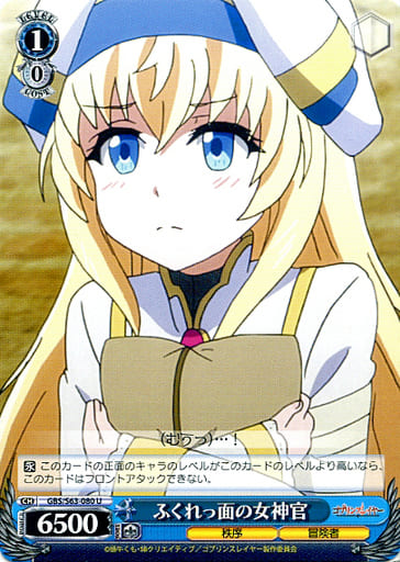[U] GBS/S63-080 ふくれっ面の女神官